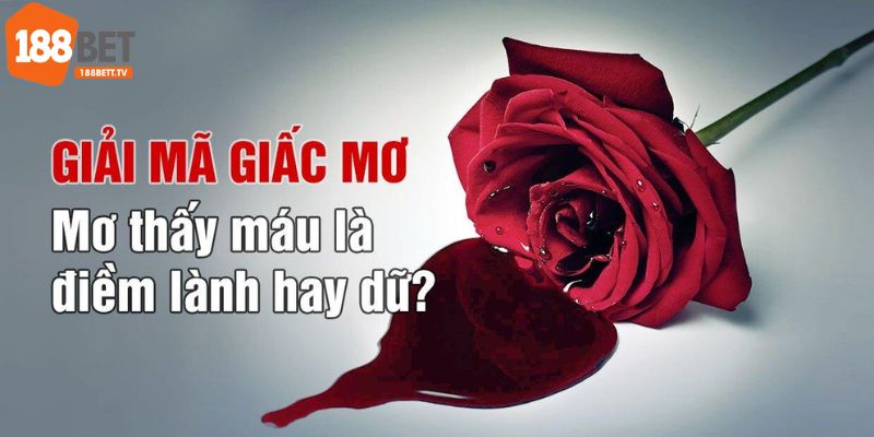 Mơ về máu điềm lành hay dữ còn tùy thuộc vào bối cảnh, chi tiết trong giấc mơ