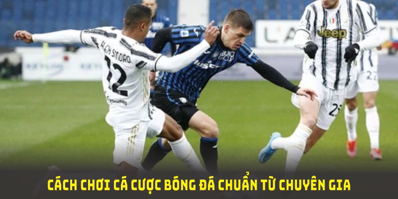 Cách chơi cá cược bóng đá chuẩn từ chuyên gia 